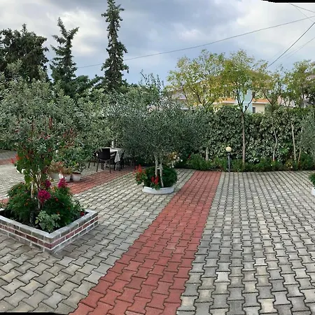 Vila Thaci